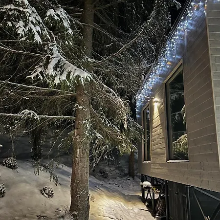 дебрі - тиша, озеро і вудка *