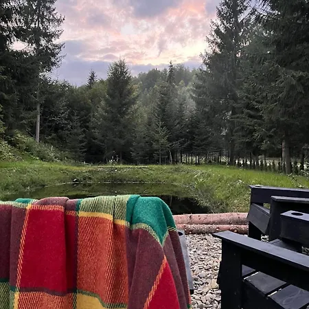 дебрі - тиша, озеро і вудка