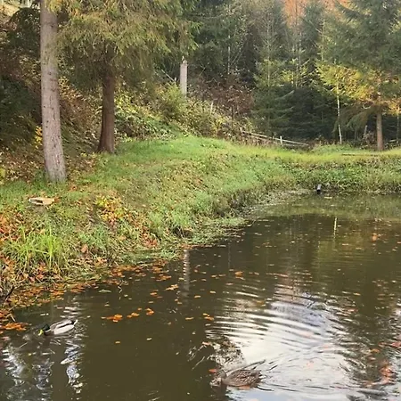 дебрі - тиша, озеро і вудка بيت للعطل *