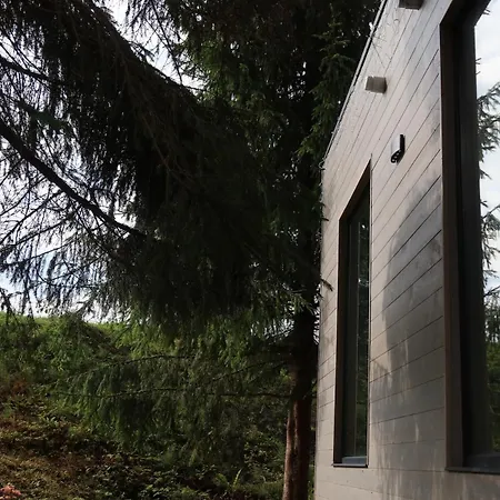 дебрі - тиша, озеро і вудка