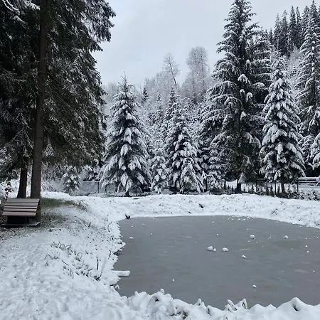 Σπίτι διακοπών дебрі - тиша, озеро і вудка