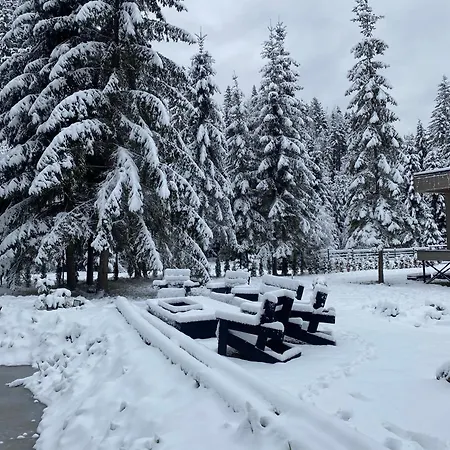 дебрі - тиша, озеро і вудка *