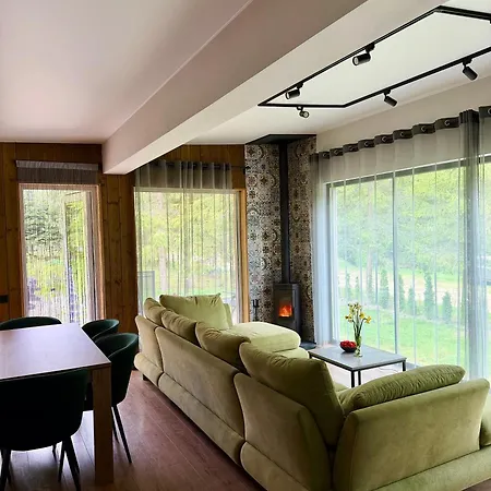 Holiday home дебрі - будинок біля озера в карпатах