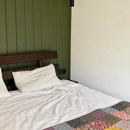 дебрі - будинок біля озера в карпатах Holiday home Krivopol'ye