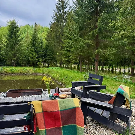 дебрі - будинок біля озера в карпатах Holiday home
