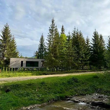 дебрі - будинок біля озера в карпатах Holiday home Krivopol'ye