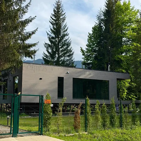 дебрі - будинок біля озера в карпатах Holiday home Krivopol'ye