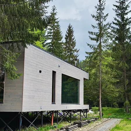 Holiday home дебрі - будинок біля озера в карпатах *