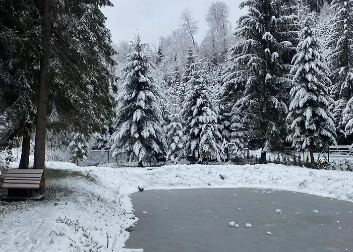Σπίτι διακοπών дебрі - тиша, озеро і вудка