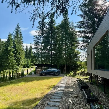 Ferienhaus дебрі - будинок біля озера в карпатах Krivopol'ye